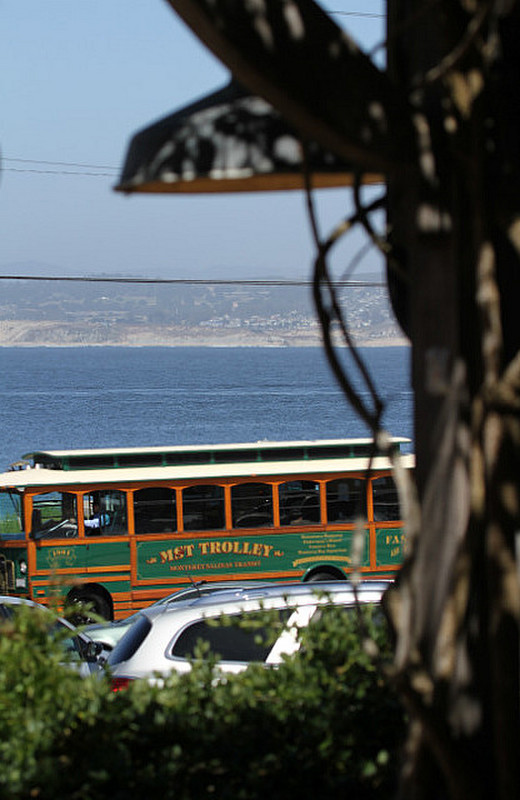 view from Trailside Cafe on Monterey Bay