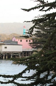 Along Monterey Bay Coastal Recreation Trail