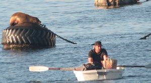 Rowing backwards toward a sea lion