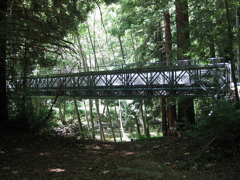 bridge suspension perhaps