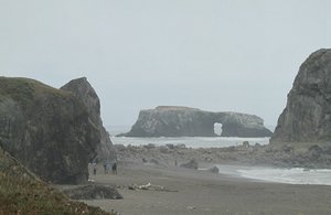 Goat Rock section Sonoma Coast State Beach 