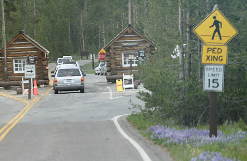 South Entrance to Yellowstone