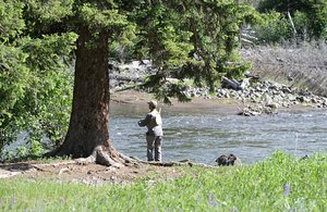 Fishing in Grizzly Habitat, Whew