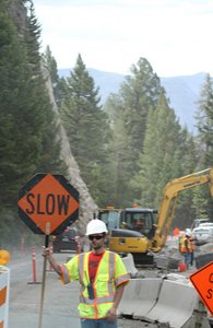 Noisy road construction in bear country