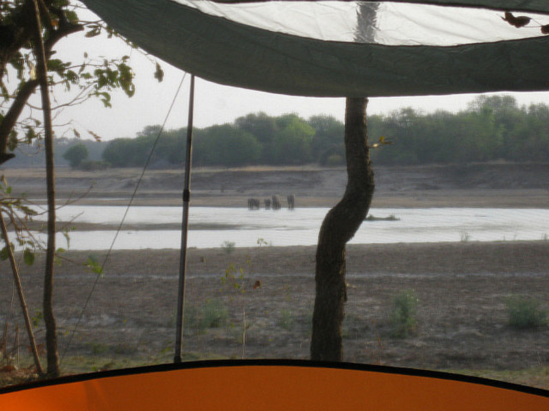 view through our tent side
