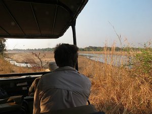 /watching the Carmine Bee Eaters