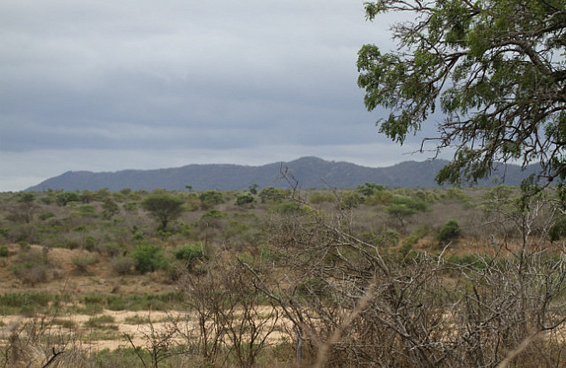 View of Lower Sabie Area