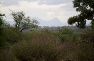 View from Kruger near Lower Sabie
