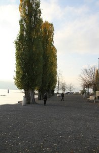 walking along the Zurichsee