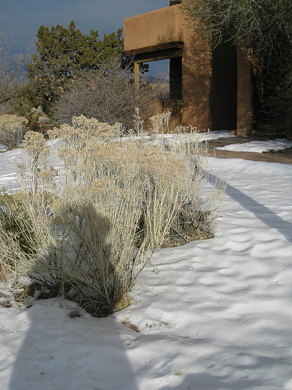 Scenes of A Snowy Santa Fe