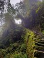 The Inka Trail.  Just Another Staircase of Many