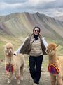 Alpaca Love, Polccoya Mountain, Peru