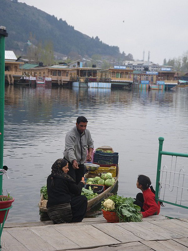 Vegetable Delivery Boat