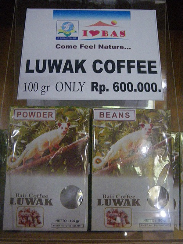 Luwak Coffee, Ready for Retail