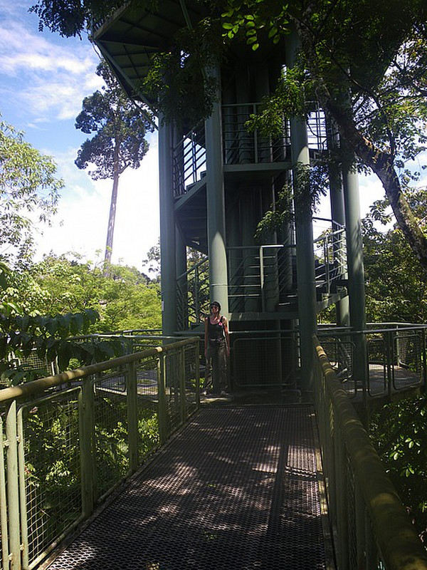 Canopy Tower