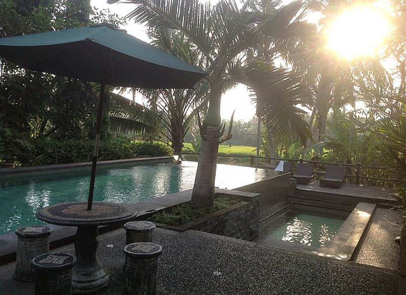 Pool Overlooking Rice Paddy