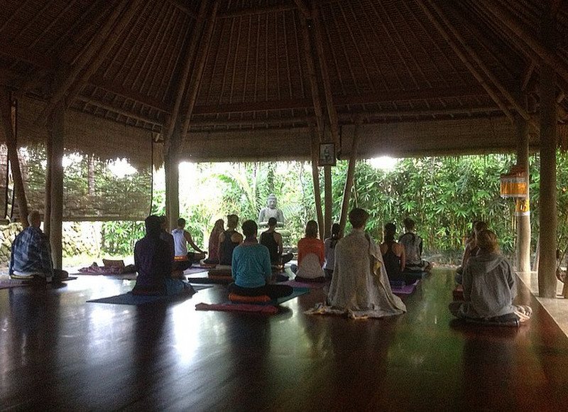 Yoga Immersion Class