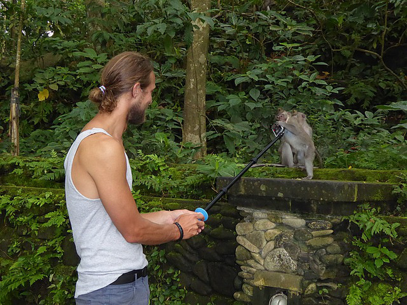 Bad Tourist Teasing Monkey
