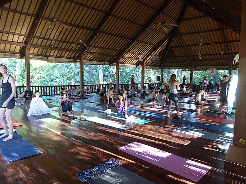 Inside The Yoga Studio 