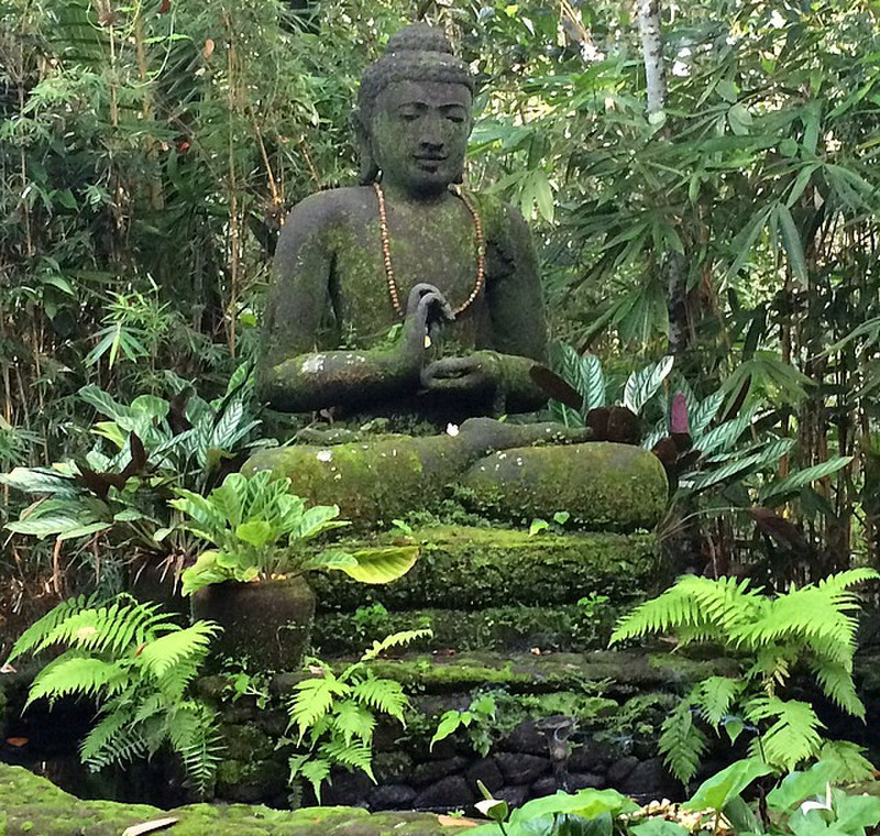Yoga Shala Buddha