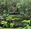 Yoga Shala Buddha