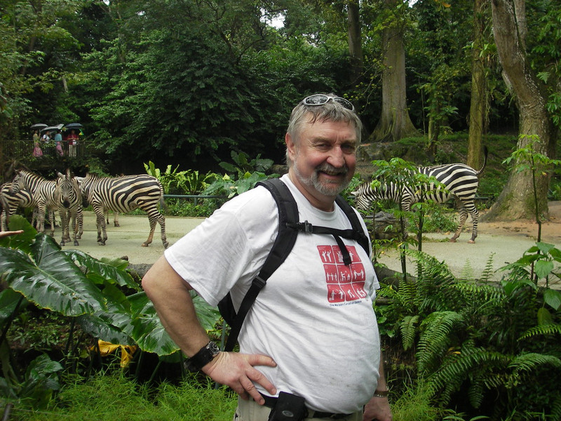 Stan and the Zebras