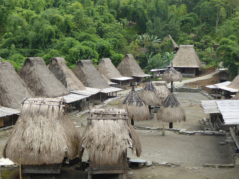 Traditional Village, Central Flores