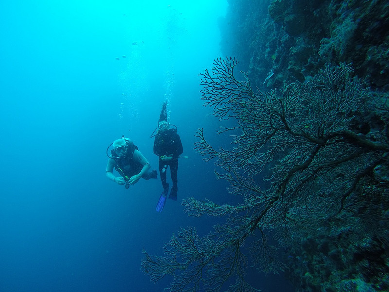 Underwater Stroll 