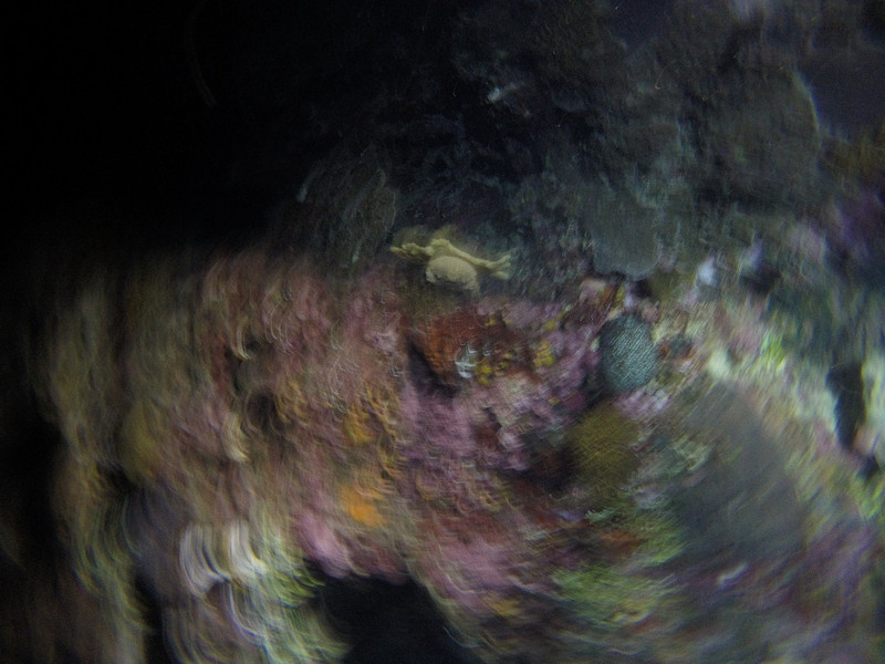 Underwater Colorburst 