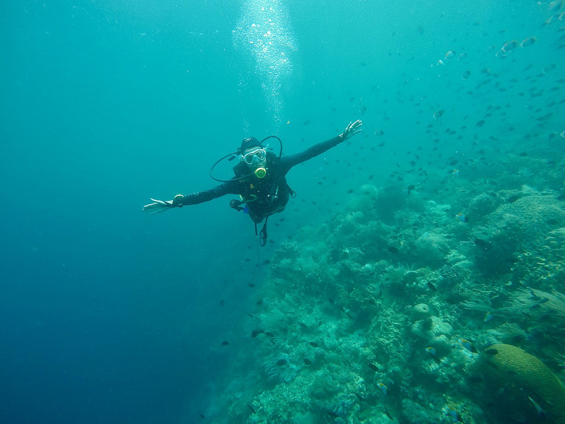 Underwater Flying