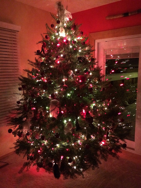 Christmas Tree Splendour