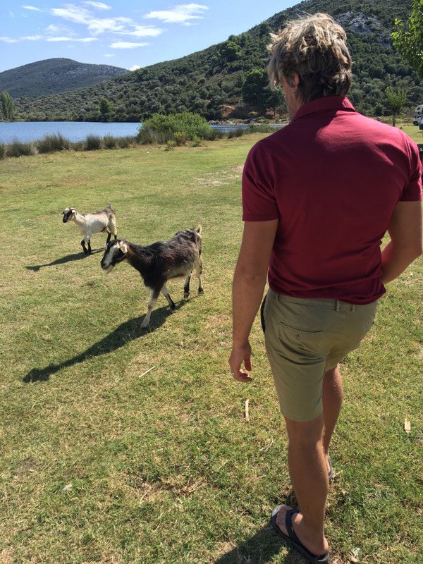 More goats! This time at Porto Koufo