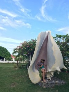 In the giant shell