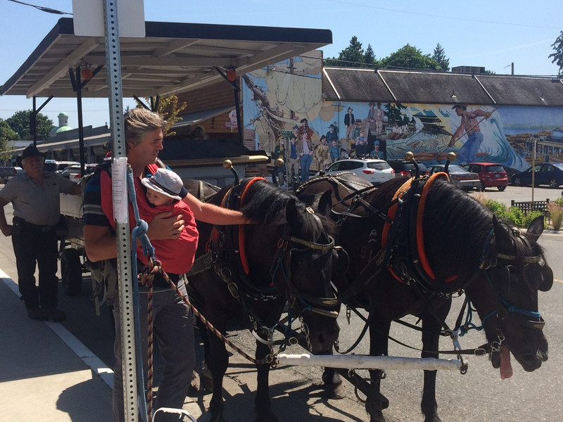 Horse and carriage at Chemainus