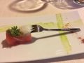 First course gastronomic delight