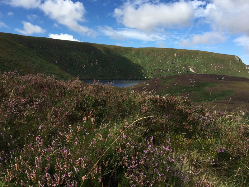 Wicklow mountain hills