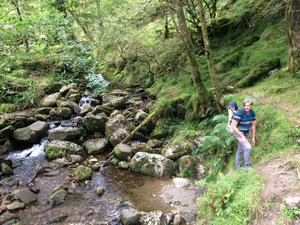 Glendalough - A nice stream