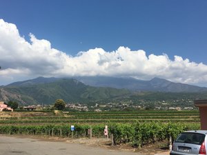 Mt. Etna from vineyard. 