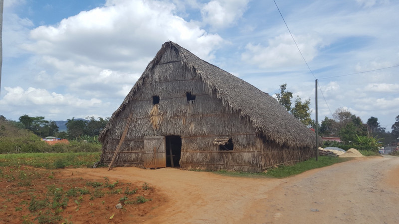 Tobacco Drying House
