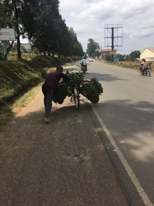 The Common Local Method of Transporting Matooke