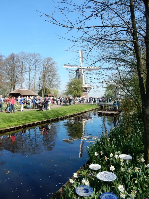 view of windmill from the delft garden