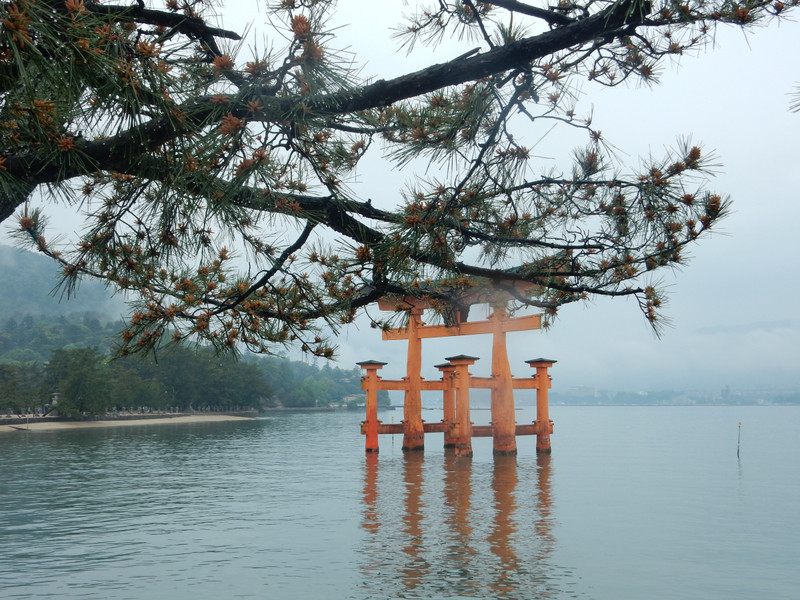 Gate from shrine
