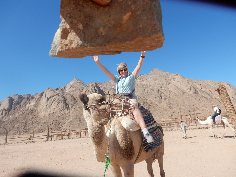 Very strong lady on a camel!
