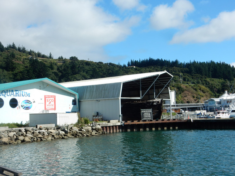 Picton Aquarium and Maritime Museum 