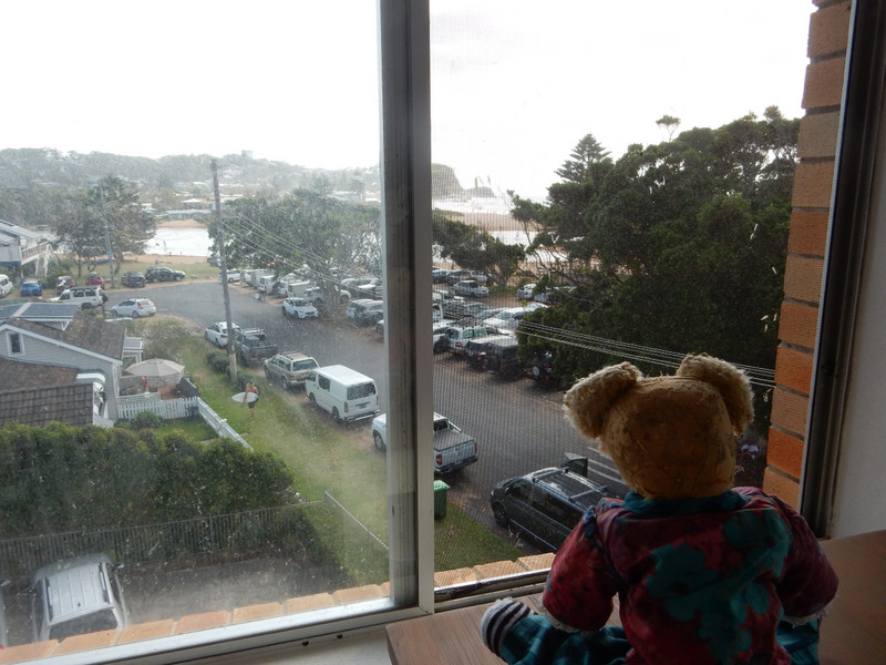 Ted looks out at the rain