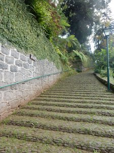 Steps to Monte church