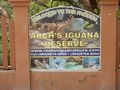 Iguana reserve
