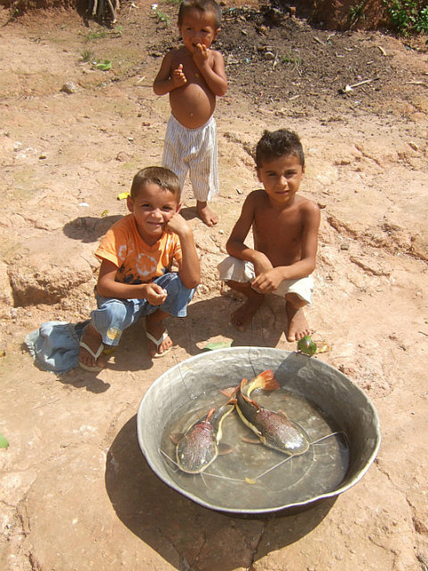 boys with their catfish and bird