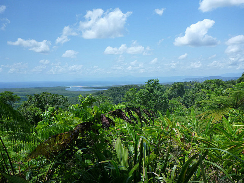 view from Alexandra lookout
