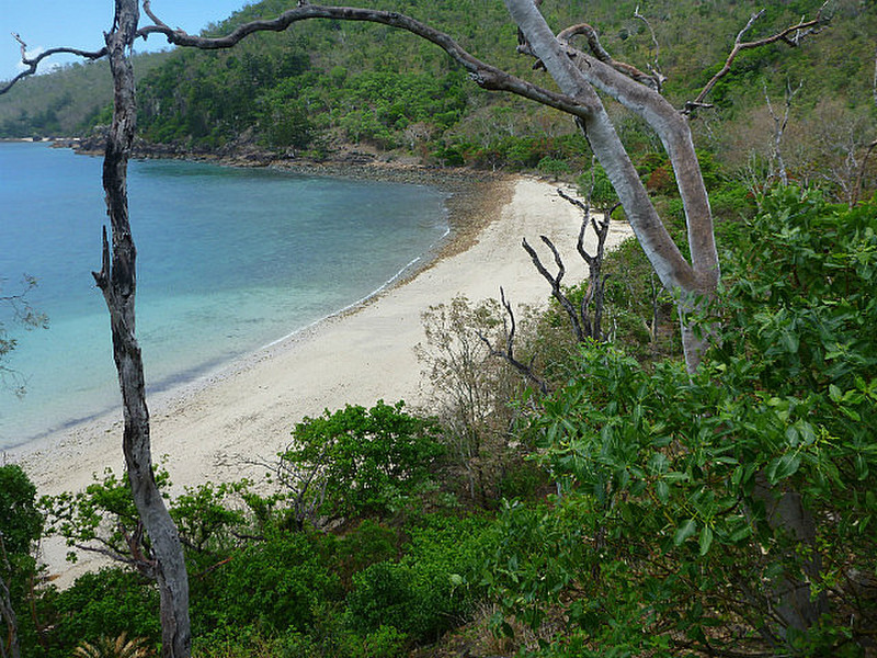 Blue Pearl Bay